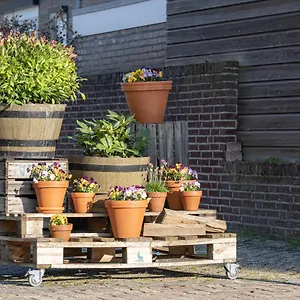  Apartment @ Netherlands